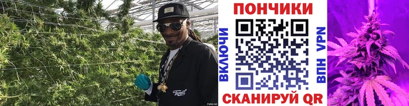 Цена Медвежьегорск APVP КОКАИН Меф мяу мяу Канабис ГАШ