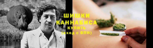 СК Каменногорск