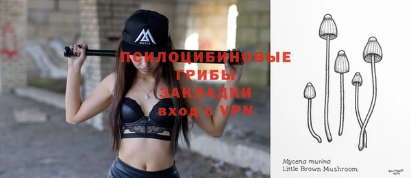 шишки Инсар