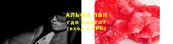 сатива Иннополис