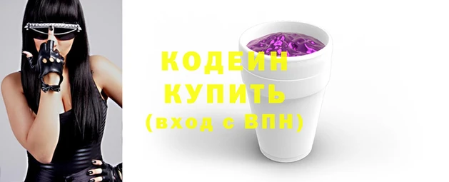 СК Каменногорск