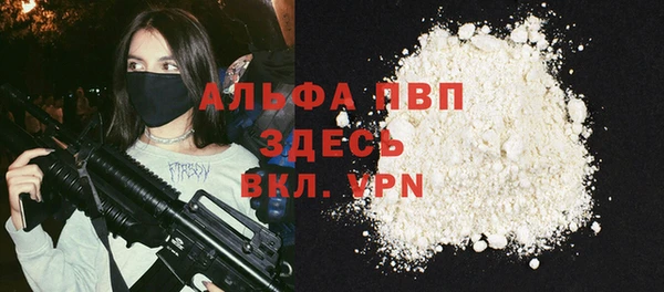 сатива Иннополис