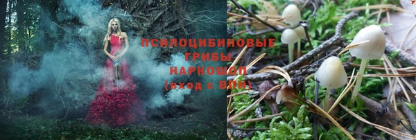 шишки Инсар