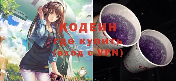 эйфоретик Каменка