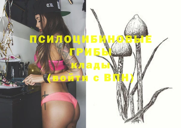 сатива Иннополис