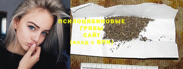 эйфоретик Каменка