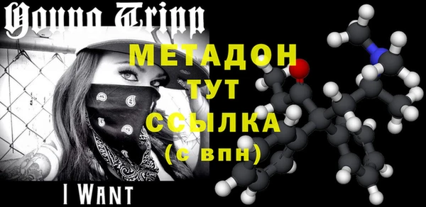 шишки Инсар